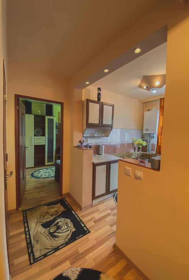 Apartament Cristian Geoagiu Băi Exterior foto