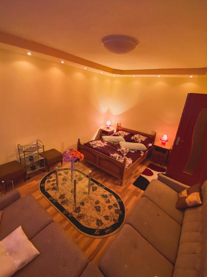 Apartament Cristian Geoagiu Băi Exterior foto