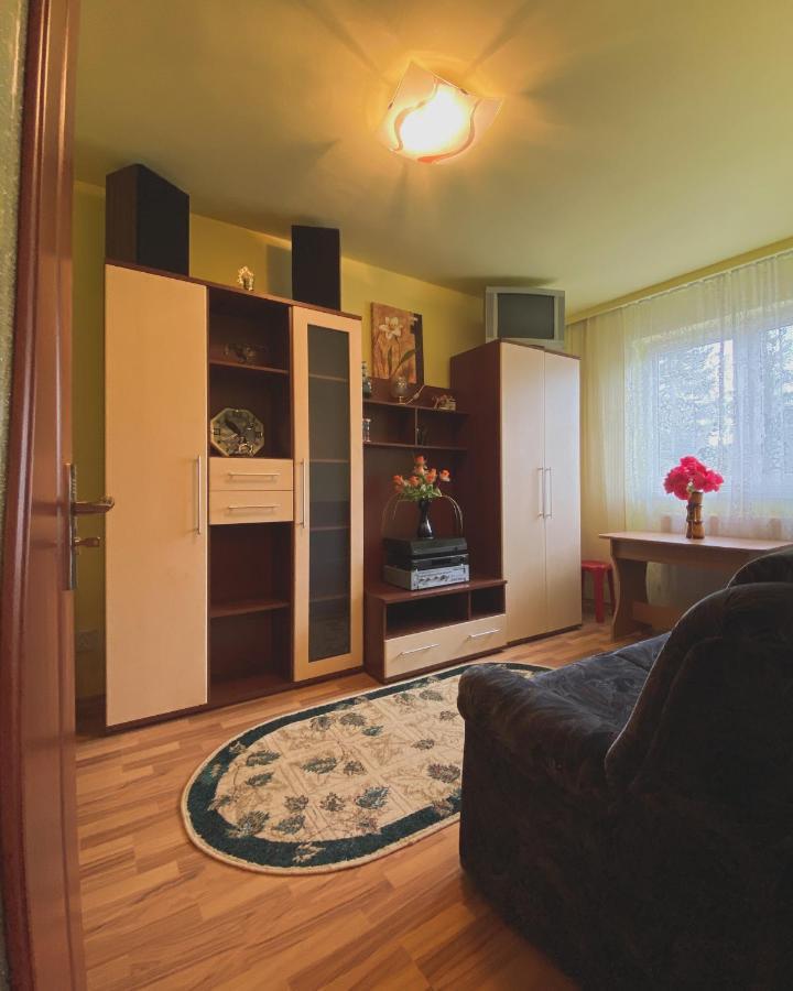 Apartament Cristian Geoagiu Băi Exterior foto